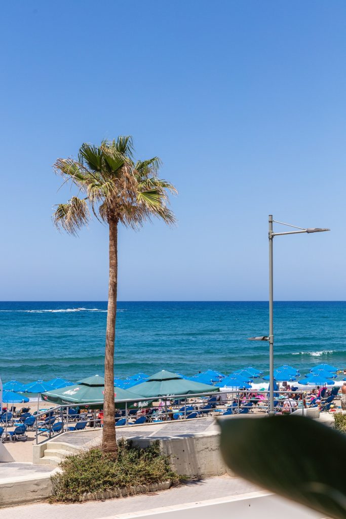 Palm trees and blue water from the Sea View Suite balcony
