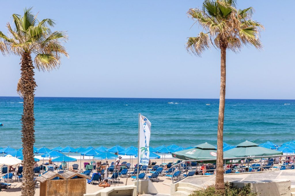 Blue water and palm trees by the coast